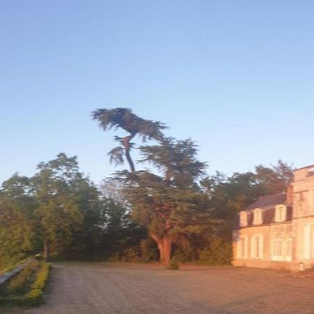 Chateau De Colliers Muides-sur-Loire Zewnętrze zdjęcie