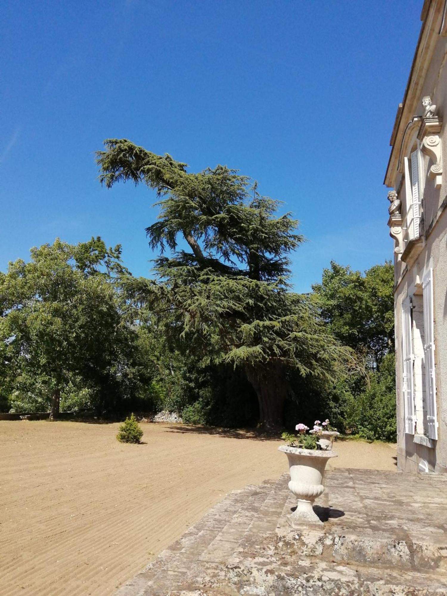 Chateau De Colliers Muides-sur-Loire Pokój zdjęcie