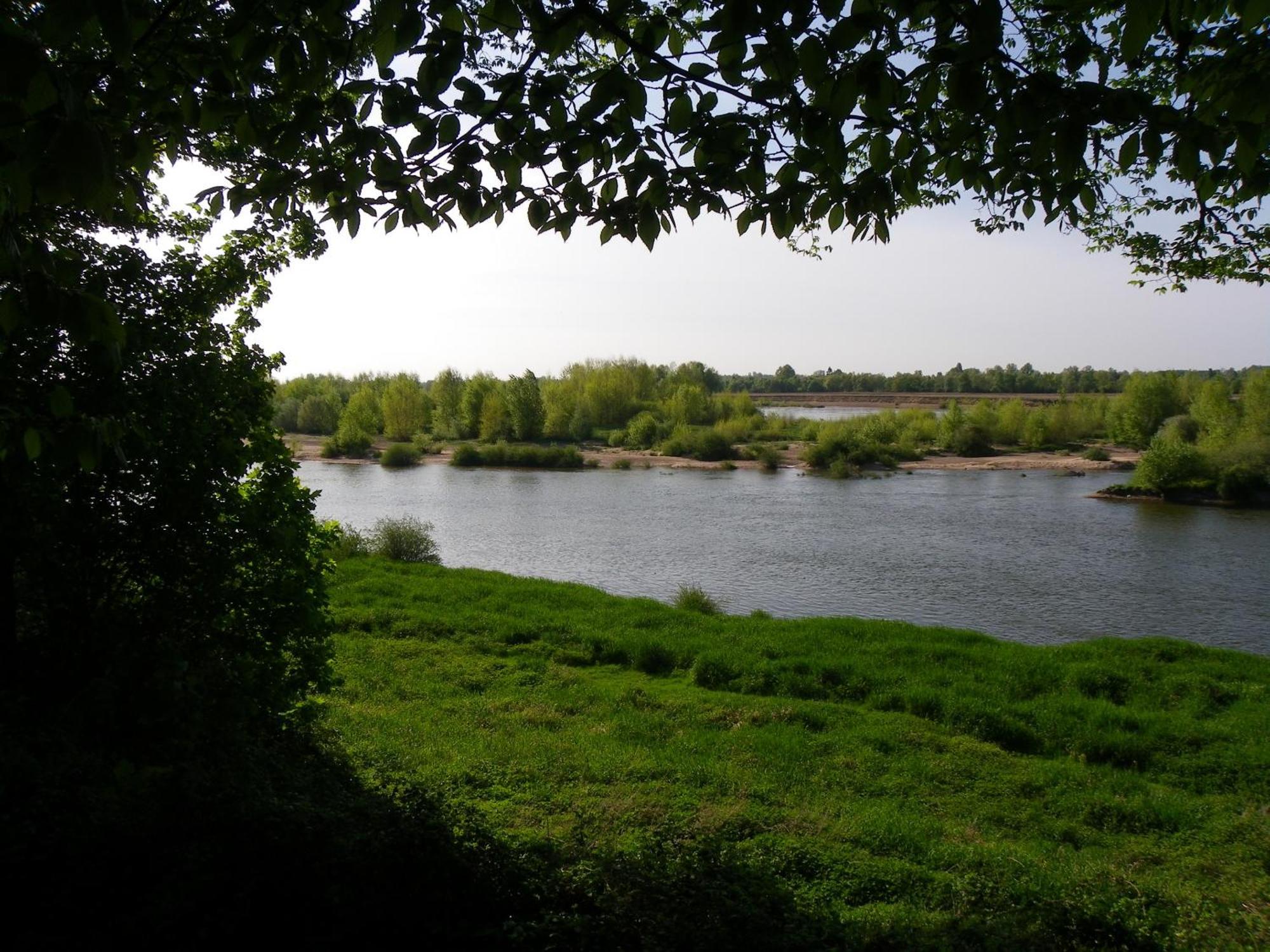 Chateau De Colliers Muides-sur-Loire Zewnętrze zdjęcie