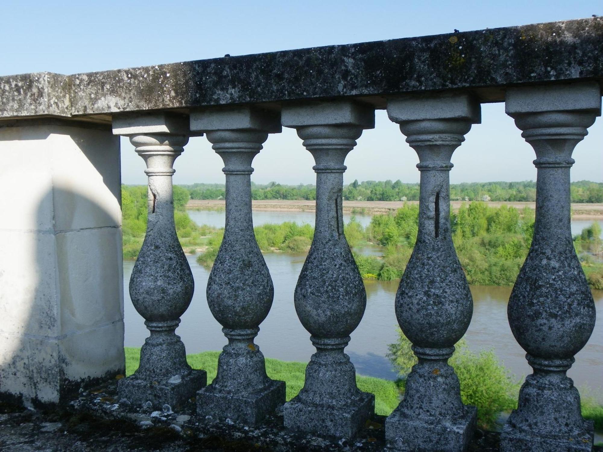 Chateau De Colliers Muides-sur-Loire Pokój zdjęcie